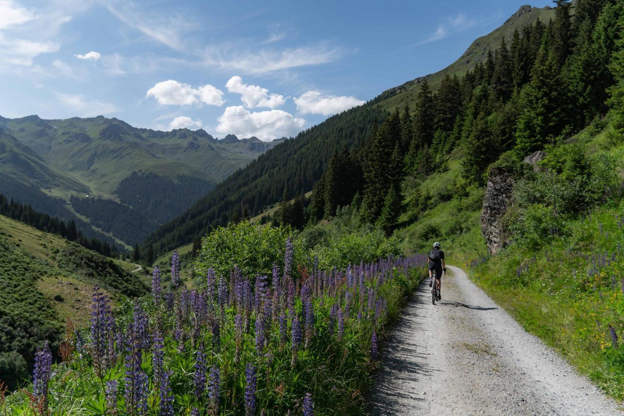 Heimspitze - Alpenhotel & Wirtshaus Gargellen Eksteriør bilde